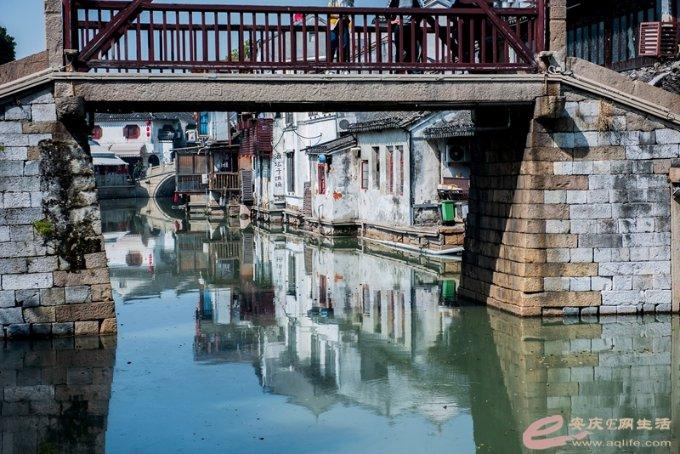 四海一家是什么动物